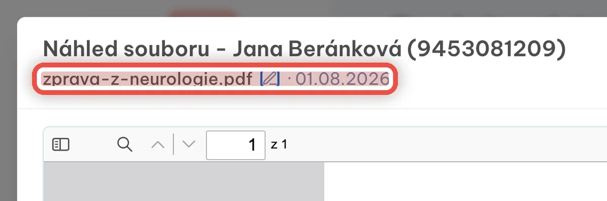 Detail — Přejmenování a zavření náhledu