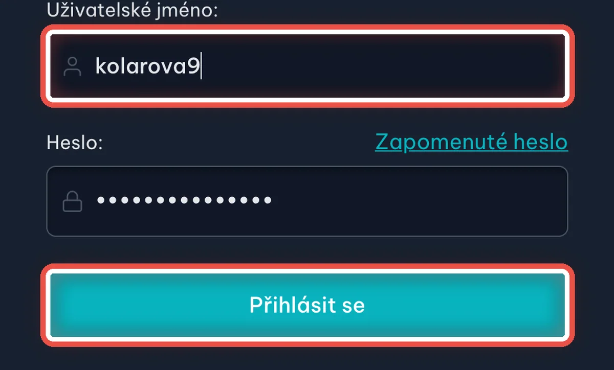 Detail — Příště se pacient přihlašuje takto