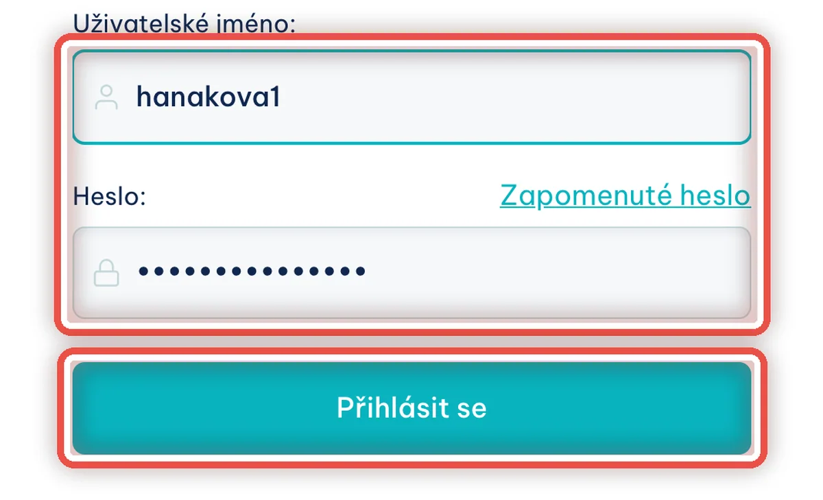 Detail — Příště se hlásíte jménem a heslem