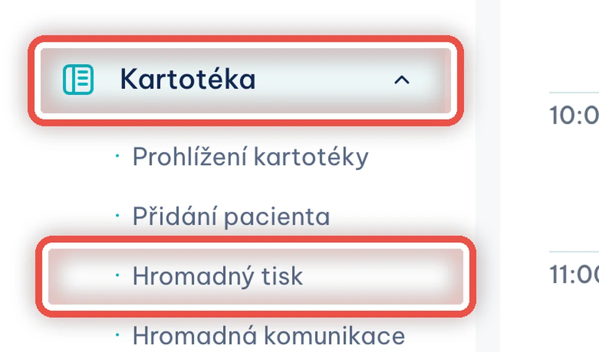 Detail — Otevřete Hromadný tisk