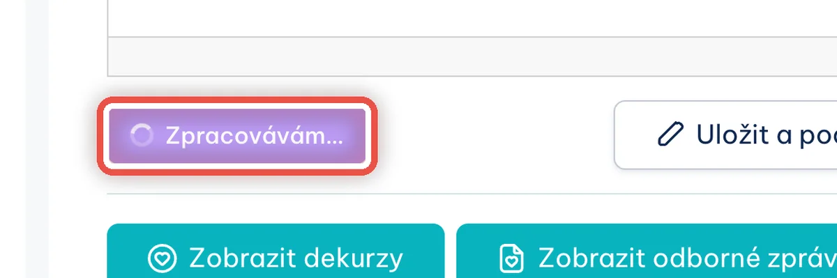 Detail — Program převádí nahrávku na text